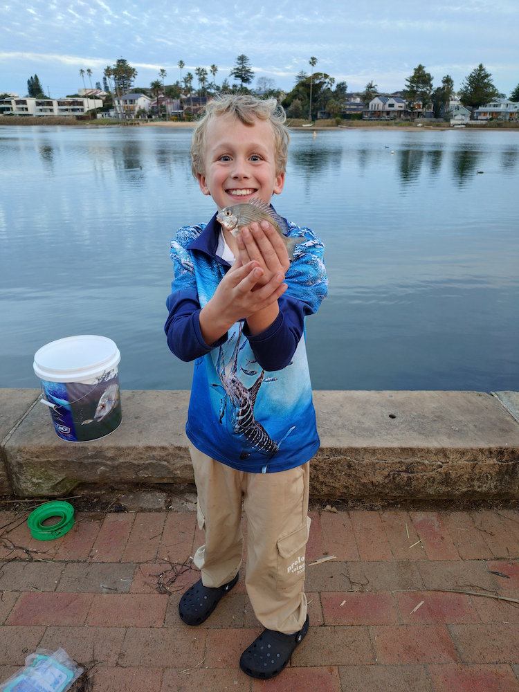 Bream fish