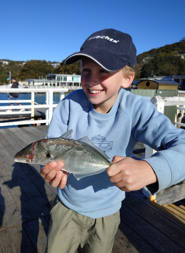 Trevally fish